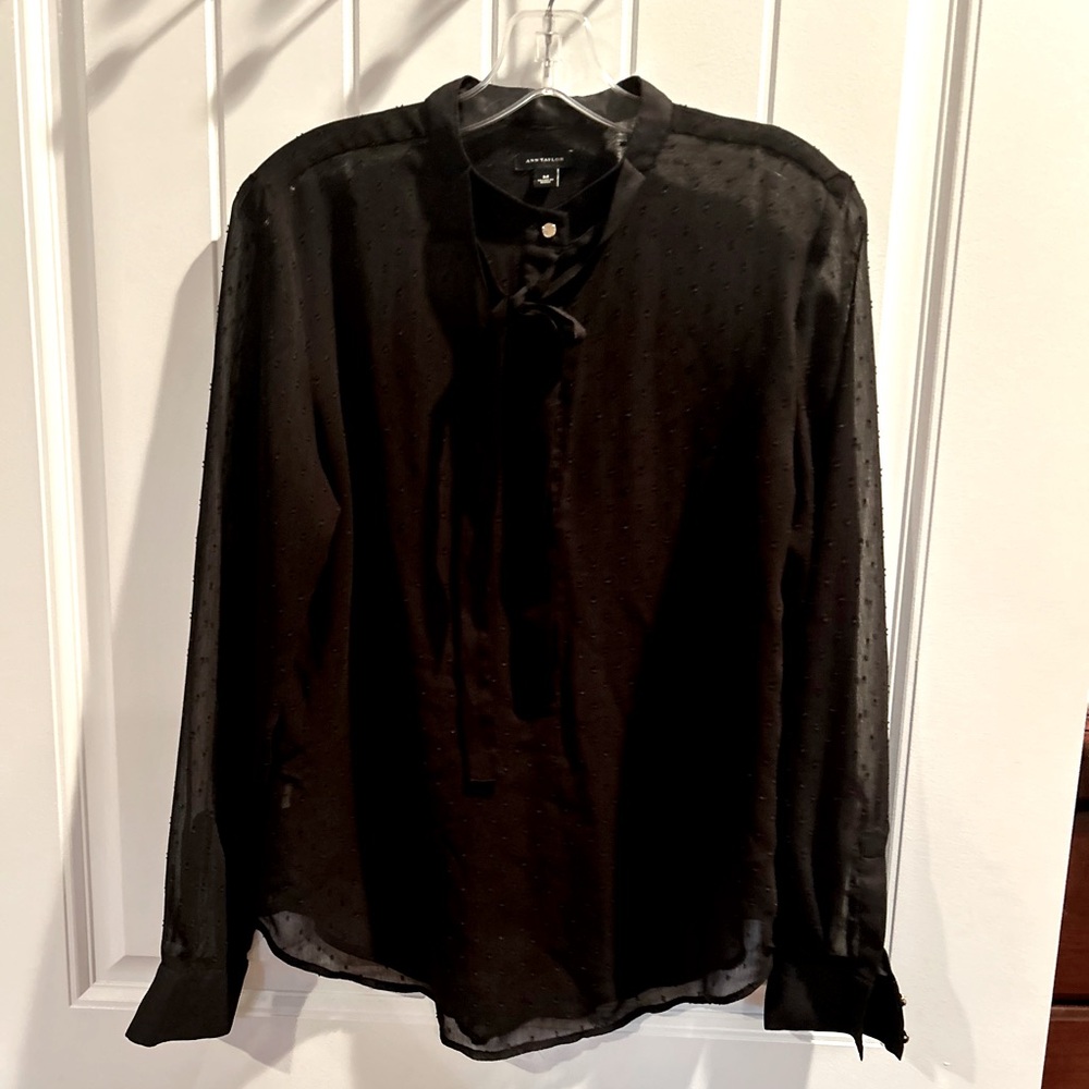 Ann Taylor See through silk blouse